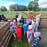 Zajęcia edukacyjne w Przystanku alpaka Dobrzewino